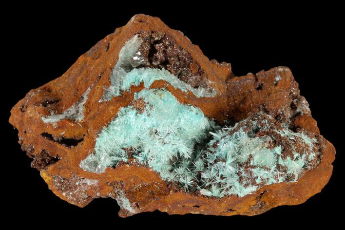 Fibrous Aurichalcite Crystal Cluster - Mexico #119144